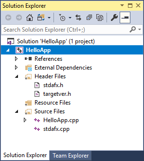 These items appear in Solution Explorer: